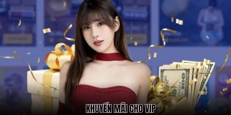 Thành viên VIP được hưởng các đãi ngộ không phải ai cũng có